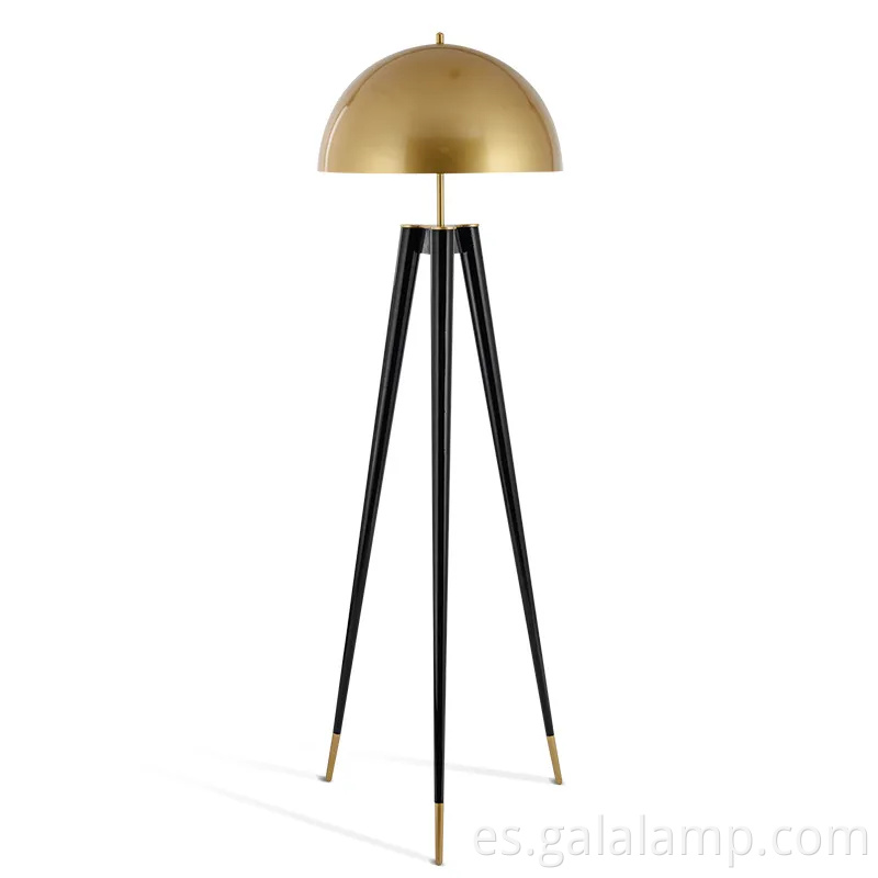 Aquí hay diez sugerencias de nombre de producto optimizadas por SEO para la lámpara de piso: